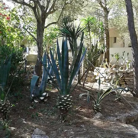 Casa Serini